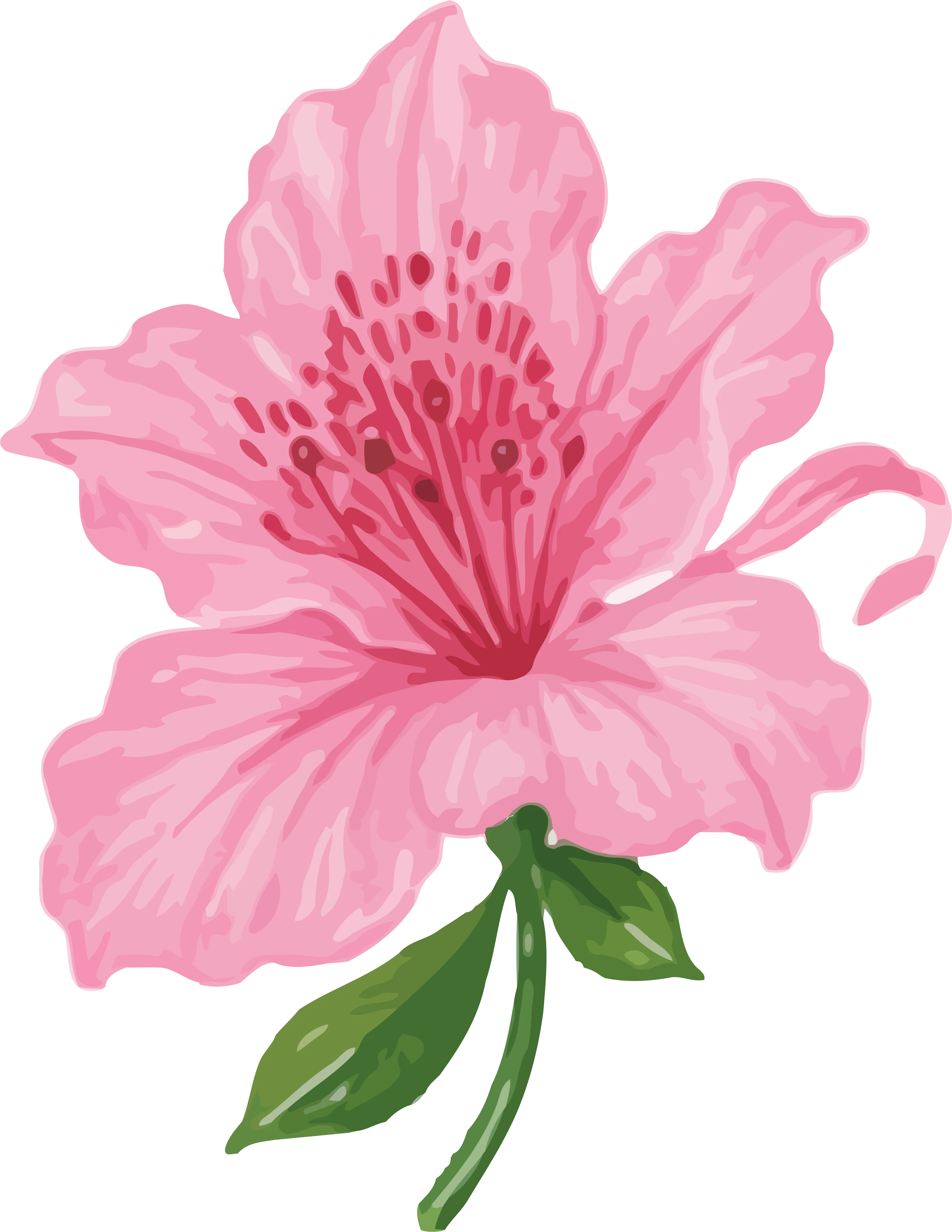 Flora de la región
